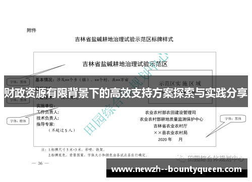 财政资源有限背景下的高效支持方案探索与实践分享