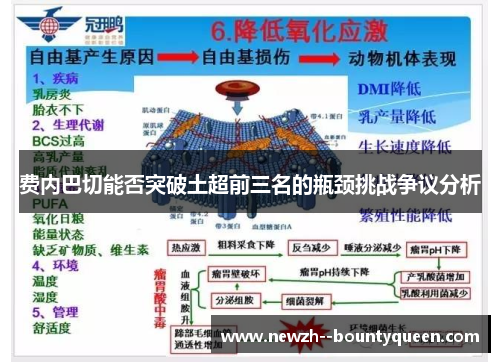 费内巴切能否突破土超前三名的瓶颈挑战争议分析 费内巴切能否突破土超前三名的瓶颈挑战争议分析