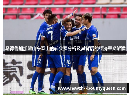 马德鲁加加盟山东泰山的转会费分析及其背后的经济意义解读